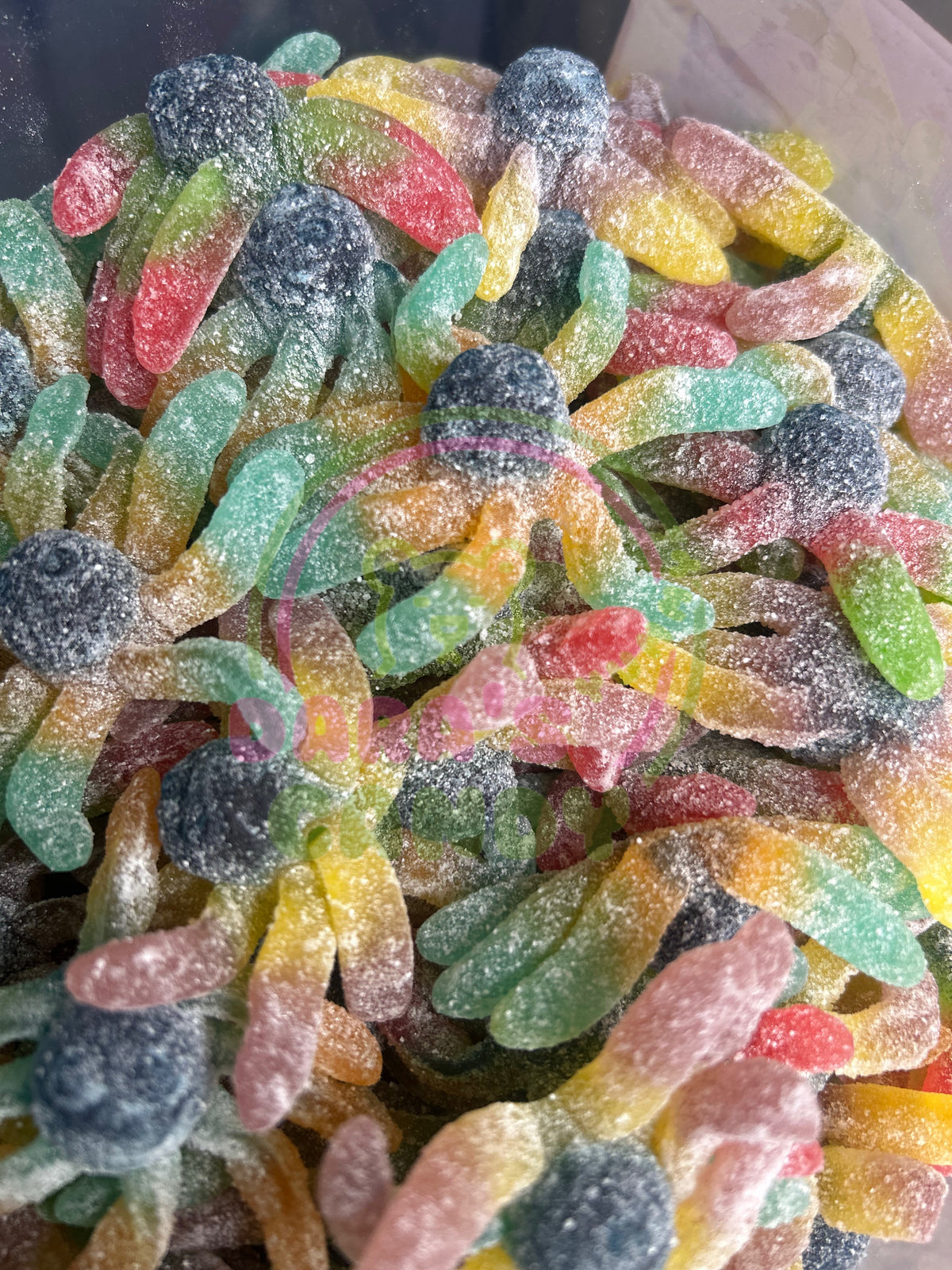 SOUR OCTOPUS