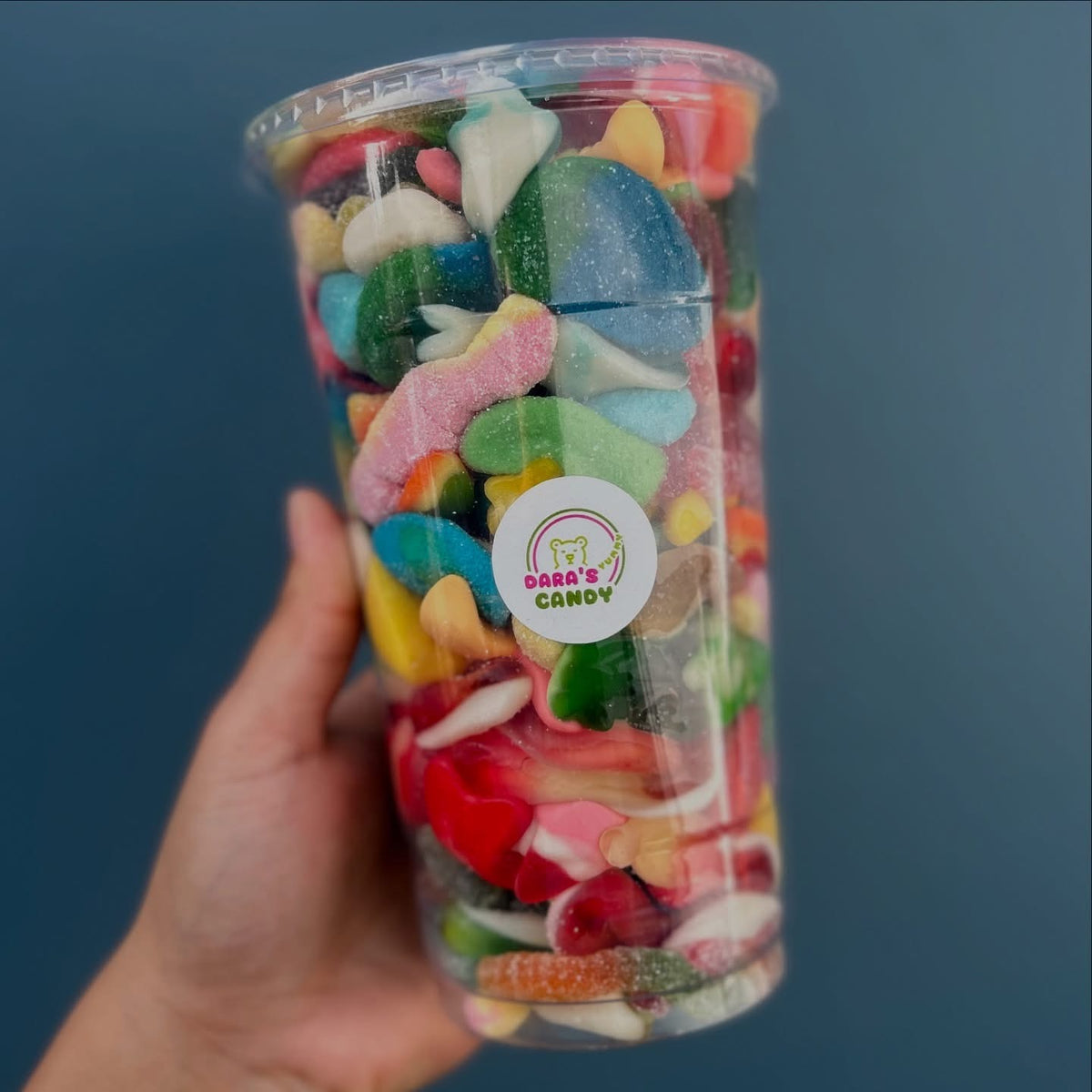 XL VASO